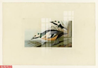 File gốc Tranh sơn dầu phương tây tổng hợp STS73205 (in mica) trang trí