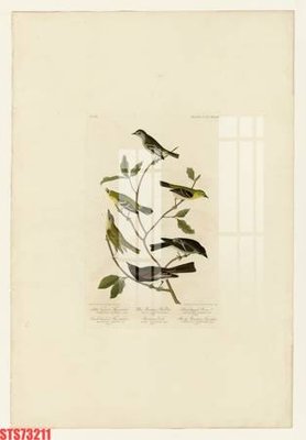 File tranh Tranh sơn dầu phương tây tổng hợp STS73211 (ảnh gốc) sắc nét hoàn hảo