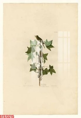 File tranh Tranh sơn dầu phương tây tổng hợp STS73215 (gốc) chủ đề trẻ em