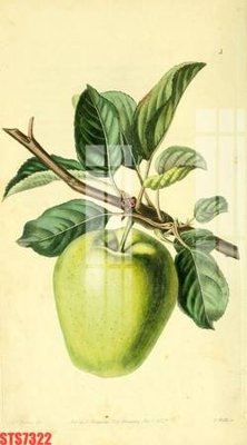 Tải file Tranh sơn dầu phương tây tổng hợp STS7322 (gốc) chủ đề tâm linh