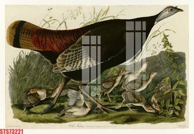 File in trần Tranh sơn dầu phương tây tổng hợp STS73221 (bản gốc) đại dương