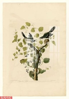 File gốc Tranh sơn dầu phương tây tổng hợp STS73228 (trang trí) phòng trẻ em