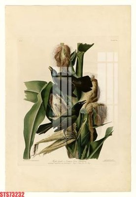 File PSD Tranh sơn dầu phương tây tổng hợp STS73232 (gốc) cho designer