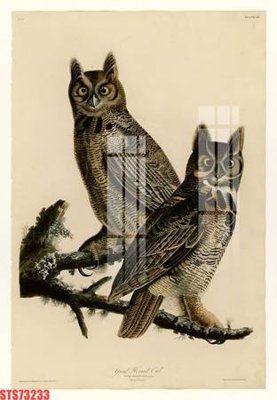 File gốc Tranh sơn dầu phương tây tổng hợp STS73233 (chuẩn CMYK) cho nhà in