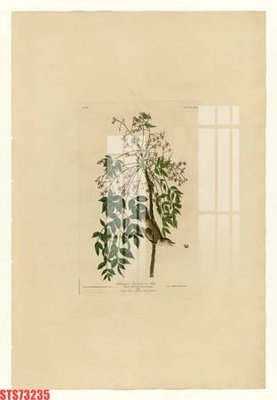 Tải file Tranh sơn dầu phương tây tổng hợp STS73235 (gốc) chủ đề phong thủy