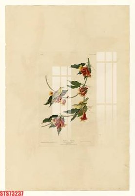 File tranh Tranh sơn dầu phương tây tổng hợp STS73237 (bản gốc) treo phòng ăn