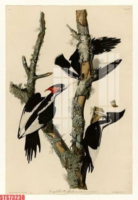 Chi tiết file ảnh Tranh sơn dầu phương tây tổng hợp STS73238 sắc nét