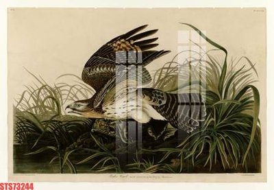 File tranh Tranh sơn dầu phương tây tổng hợp STS73244 (bản gốc) in canvas