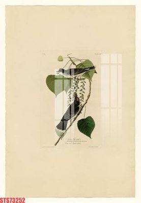 Mua file gốc Tranh sơn dầu phương tây tổng hợp STS73252 (in ấn) tại Filetranh.com