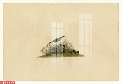 File gốc Tranh sơn dầu phương tây tổng hợp STS73253 (in lụa) hoa văn cổ điển