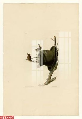 File gốc Tranh sơn dầu phương tây tổng hợp STS73257 (in lụa) tranh mã đáo