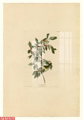 File gốc in ấn Tranh sơn dầu phương tây tổng hợp STS73263 chất lượng vượt trội