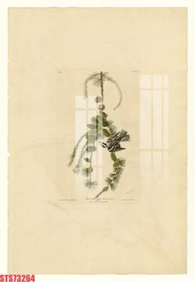 Download file Tranh sơn dầu phương tây tổng hợp STS73264 (gốc) in mica ốp bếp