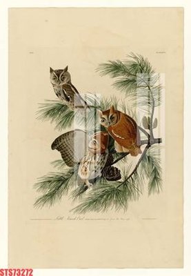 File in lụa Tranh sơn dầu phương tây tổng hợp STS73272 (hoa văn) Tranh sơn dầu phương tây tổng hợp STS73272