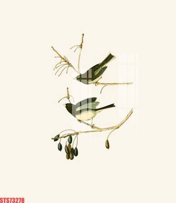 Ảnh gốc Tranh sơn dầu phương tây tổng hợp STS73278 (nét căng) in mica