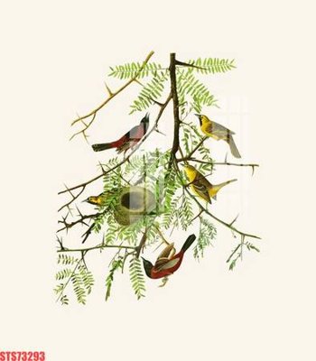 File tranh gốc in trần nhà Tranh sơn dầu phương tây tổng hợp STS73293 3D