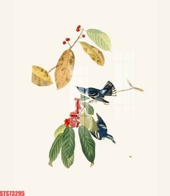 File ảnh Tranh sơn dầu phương tây tổng hợp STS73295 (gốc) in Hiflex