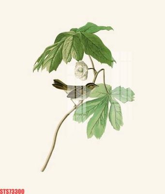 File gốc Tranh sơn dầu phương tây tổng hợp STS73300 (bản quyền) cho in ấn