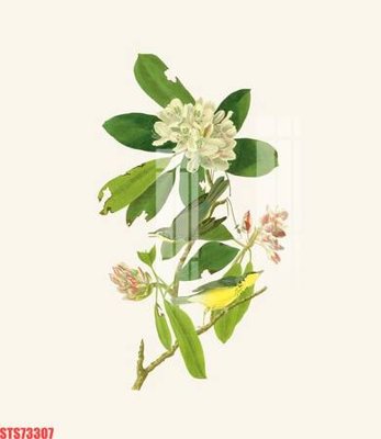 File gốc Tranh sơn dầu phương tây tổng hợp STS73307 (in ấn) màu sắc trung thực