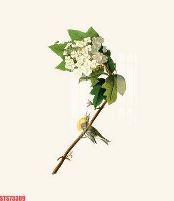 Tải file Tranh sơn dầu phương tây tổng hợp STS73309 (gốc) làm tranh treo tường