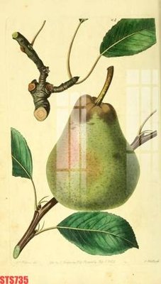 Tải về file gốc Tranh sơn dầu phương tây tổng hợp STS735 (dùng cho in quảng cáo)