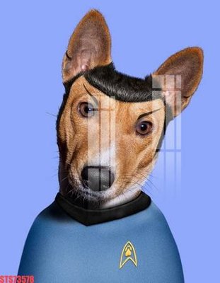 File PSD Tranh sơn dầu phương tây tổng hợp STS73578 (bản gốc) chất lượng nhất