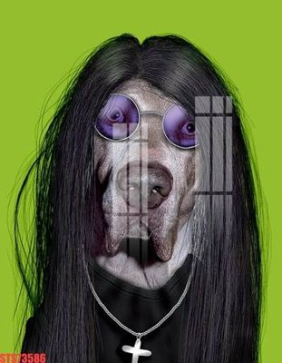 File gốc Tranh sơn dầu phương tây tổng hợp STS73586 (in tráng gương) nghệ thuật