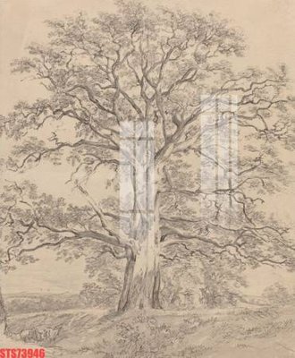 File PSD Tranh sơn dầu phương tây tổng hợp STS73946 (gốc) cho in quảng cáo