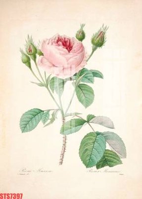 File PSD Tranh sơn dầu phương tây tổng hợp STS7397 (nguyên gốc) chất lượng cao