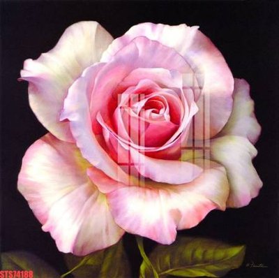 Ảnh mô tả file gốc in mica Tranh sơn dầu phương tây tổng hợp STS74188