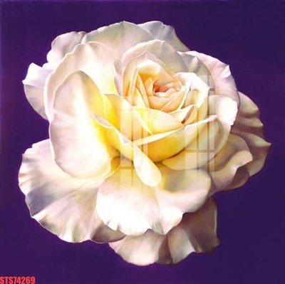 Tải file Tranh sơn dầu phương tây tổng hợp STS74269 (ảnh gốc) 300dpi Tranh sơn dầu phương tây tổng hợp STS74269