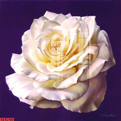 File in trần Tranh sơn dầu phương tây tổng hợp STS74272 (file gốc) chủ đề vũ trụ