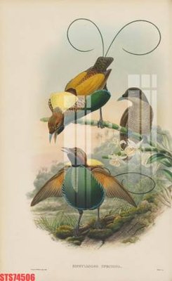 File gốc Tranh sơn dầu phương tây tổng hợp STS74506 (in lụa) tranh thuận buồm