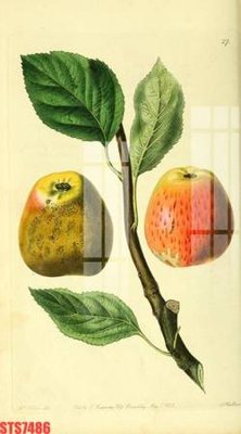 Tải file Tranh sơn dầu phương tây tổng hợp STS7486 (ảnh gốc) in gạch men