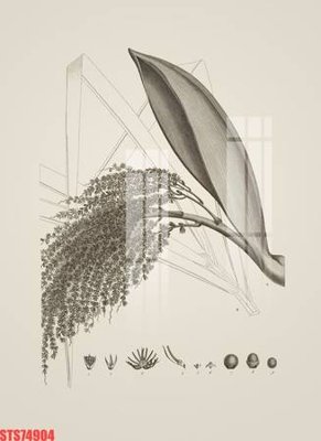 Chi tiết file gốc Tranh sơn dầu phương tây tổng hợp STS74904 (cho in tráng gương)