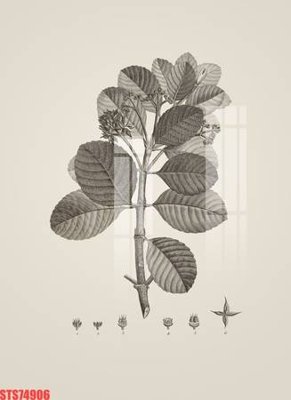 File PSD Tranh sơn dầu phương tây tổng hợp STS74906 (gốc) tách lớp chi tiết