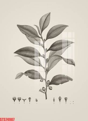 File gốc in ấn Tranh sơn dầu phương tây tổng hợp STS74907 chuẩn màu CMYK