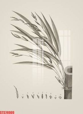 File tranh Tranh sơn dầu phương tây tổng hợp STS74909 (gốc) chủ đề trừu tượng