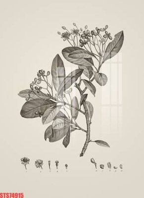 File tranh Tranh sơn dầu phương tây tổng hợp STS74915 (bản gốc) in lụa dán tường