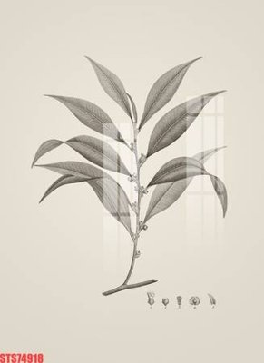 Tải file Tranh sơn dầu phương tây tổng hợp STS74918 (gốc) in tranh tráng gương