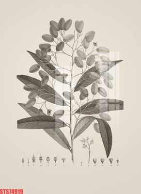 Tải file tranh gốc Tranh sơn dầu phương tây tổng hợp STS74919 chất lượng cao