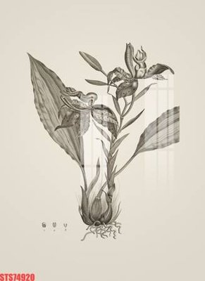 Download file gốc Tranh sơn dầu phương tây tổng hợp STS74920 (dùng cho in ấn)