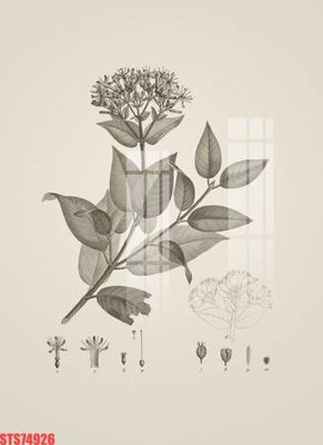 File tranh gốc Tranh sơn dầu phương tây tổng hợp STS74926 (bản quyền) độc đáo