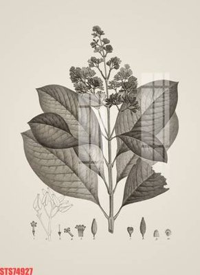 File gốc Tranh sơn dầu phương tây tổng hợp STS74927 (chuẩn màu) cho in offset