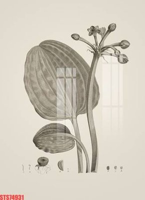 Hình ảnh file gốc Tranh sơn dầu phương tây tổng hợp STS74931 (chất lượng cao)