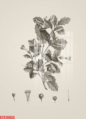 File PSD Tranh sơn dầu phương tây tổng hợp STS74933 (chất lượng in ấn)