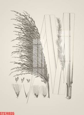 Download file Tranh sơn dầu phương tây tổng hợp STS74935 (gốc) in mica cao cấp