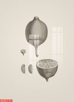 File gốc Tranh sơn dầu phương tây tổng hợp STS74936 (ảnh chi tiết) để in ấn