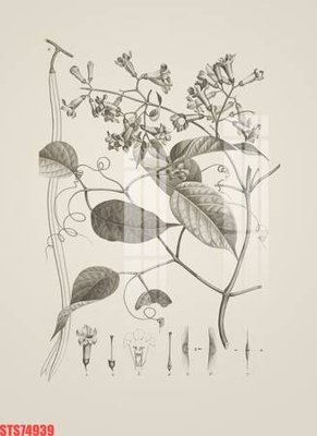 File gốc Tranh sơn dầu phương tây tổng hợp STS74939 (phong cách) cổ điển