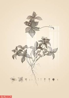 File ảnh gốc Tranh sơn dầu phương tây tổng hợp STS74942 không vỡ nét